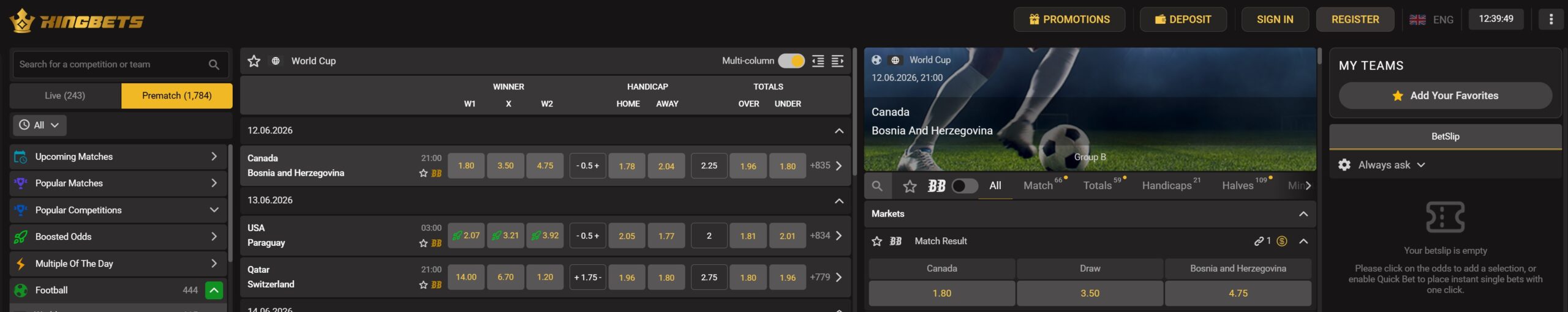 Kingbets sportsbook betting markets