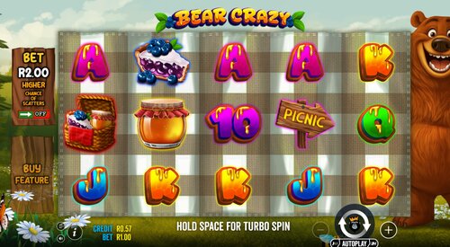 Bear Crazy Demo Game Play South Africa
