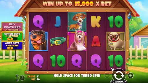 The Big Dog House Demo Game Play South Africa