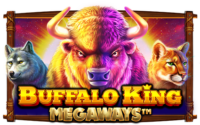 Buffalokingmegaways logo