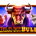 Black Bull Slot Demo