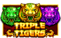 Triple Tigers Slot Demo