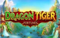 Dragon Tiger Fortunes Slot Logo