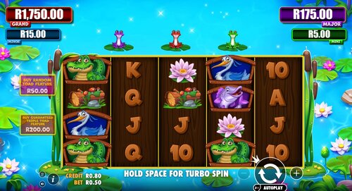 Tiny Toads slot home screen South Africa